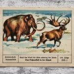 Schneekleid Eiszeit Mammut Erde Palmin Post Sammelbild 153 Reklame alt Werbung