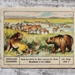 Grassteppe Lößzeit Tiere Erde Palmin Post Sammelbild 153 Reklame Vintage Werbung