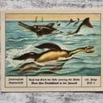 Meer Deutschland Jurazeit Meerdrache Erde Palmin Post Sammelbild 153 Reklame alt