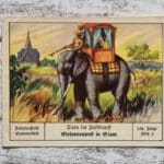 Elefantenpost Siam Tiere Postdienst Palmin Sammelbild 154 Reklame Deko Werbung