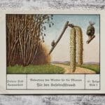 Haselnußstrauch Pflanzen Wind Kätzchen Palmin Post Sammelbild 67 Reklame Vintage